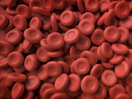 血小板的重要性