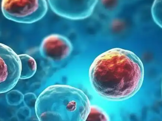 细胞：生命中最重要的基础